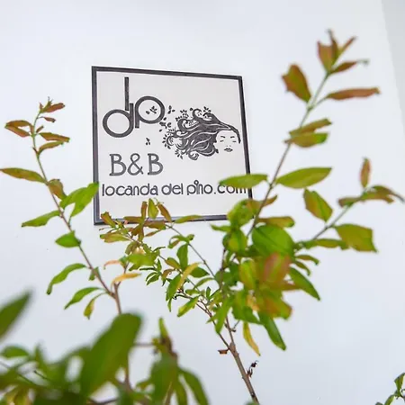 Bed & Breakfast Del Pino Marina di Ginosa
