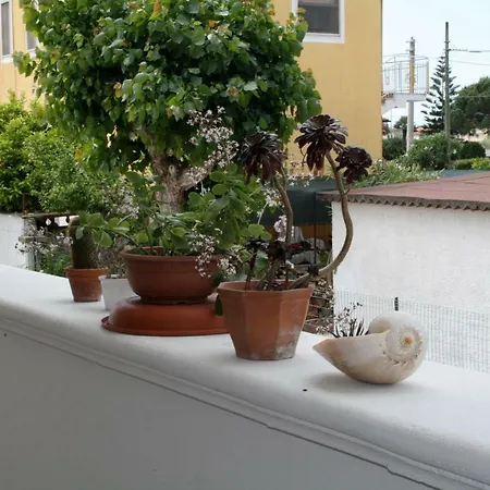 Bed & Breakfast Del Pino